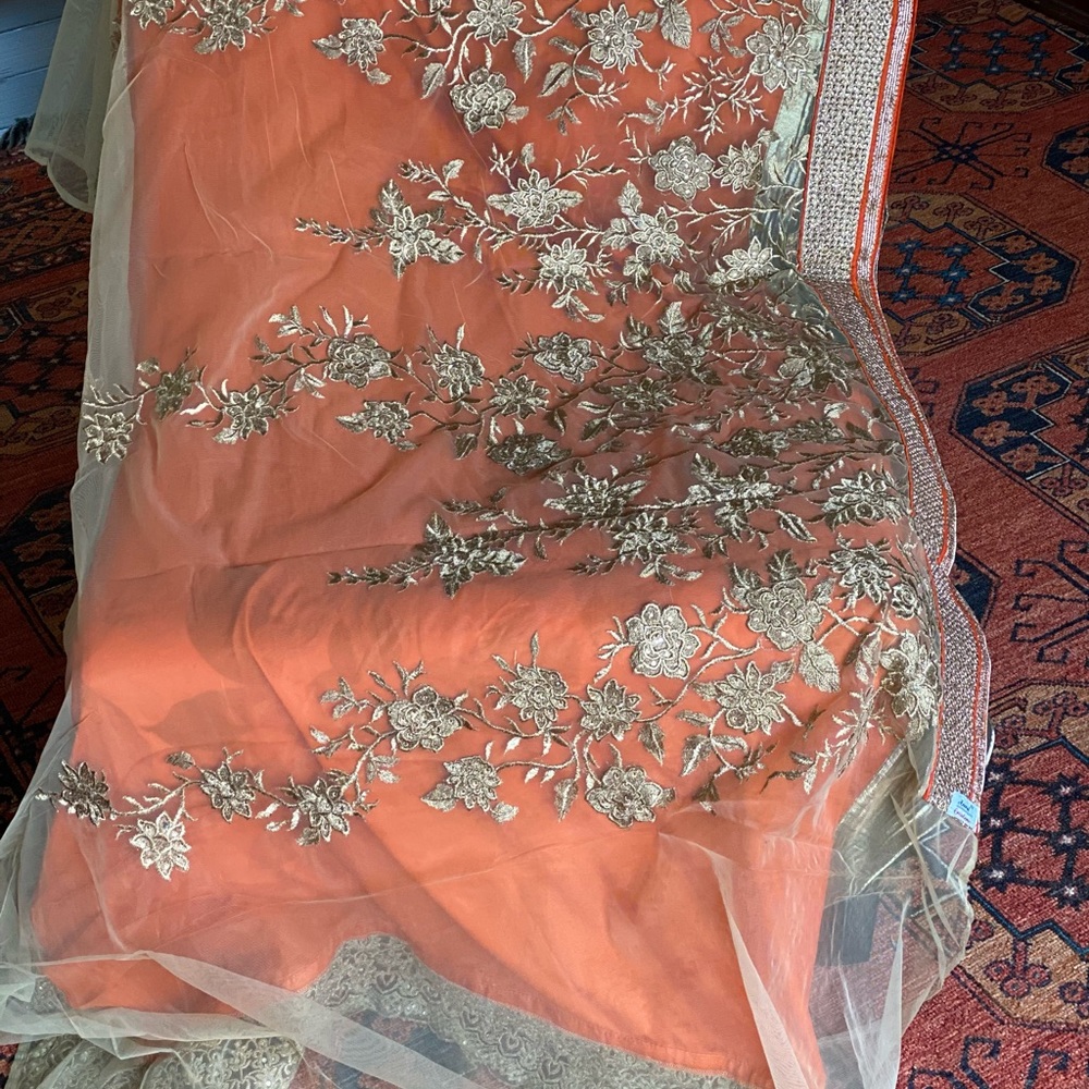 Burnt orange embroidered saree sari